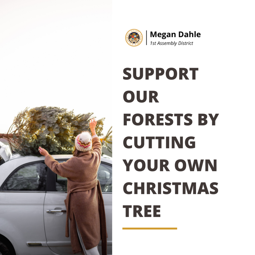 Help Our Forests, Cut Your Own Christmas Tree