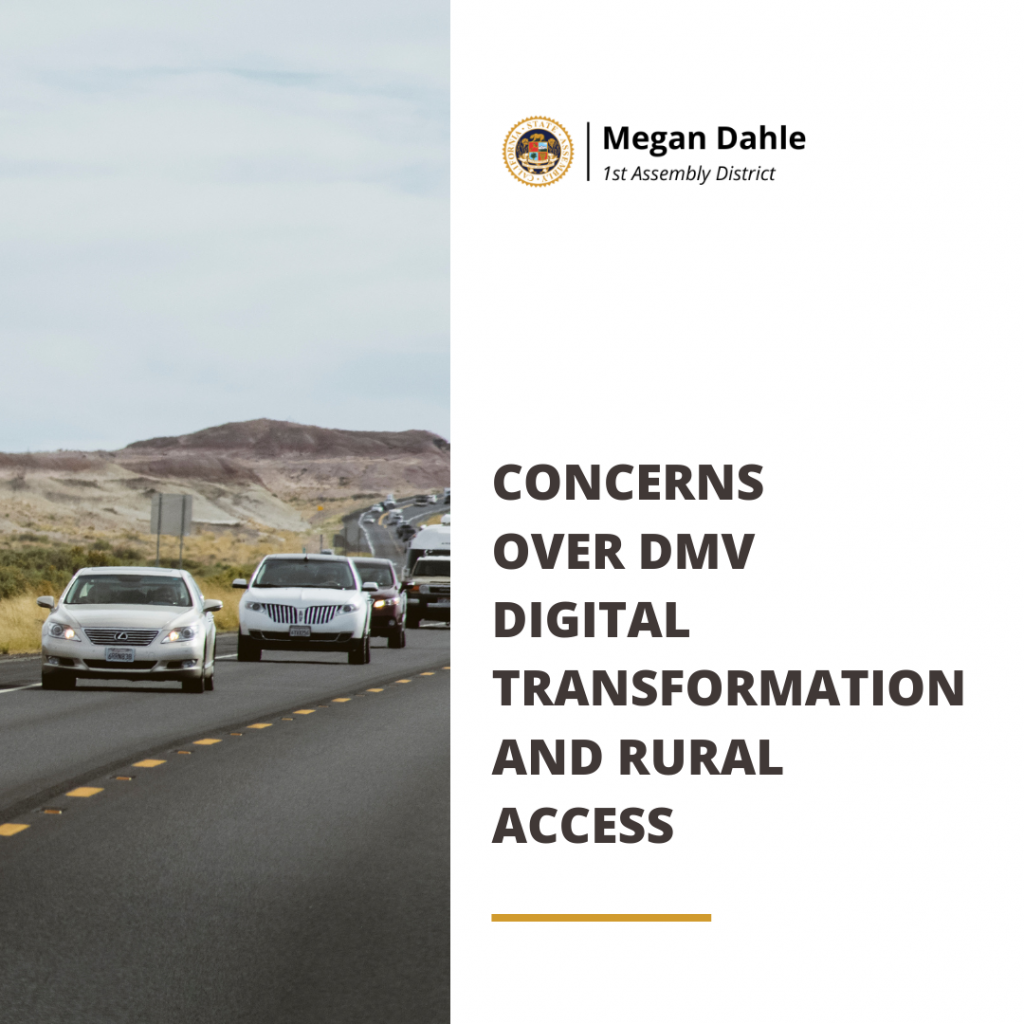 Concerns over DMV digital transformation and rural access