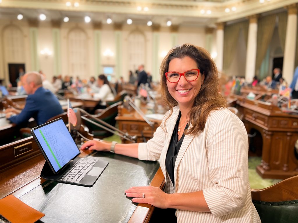 Assemblywoman Dahle on Assembly Floor for California legislature end of session 2024 voting